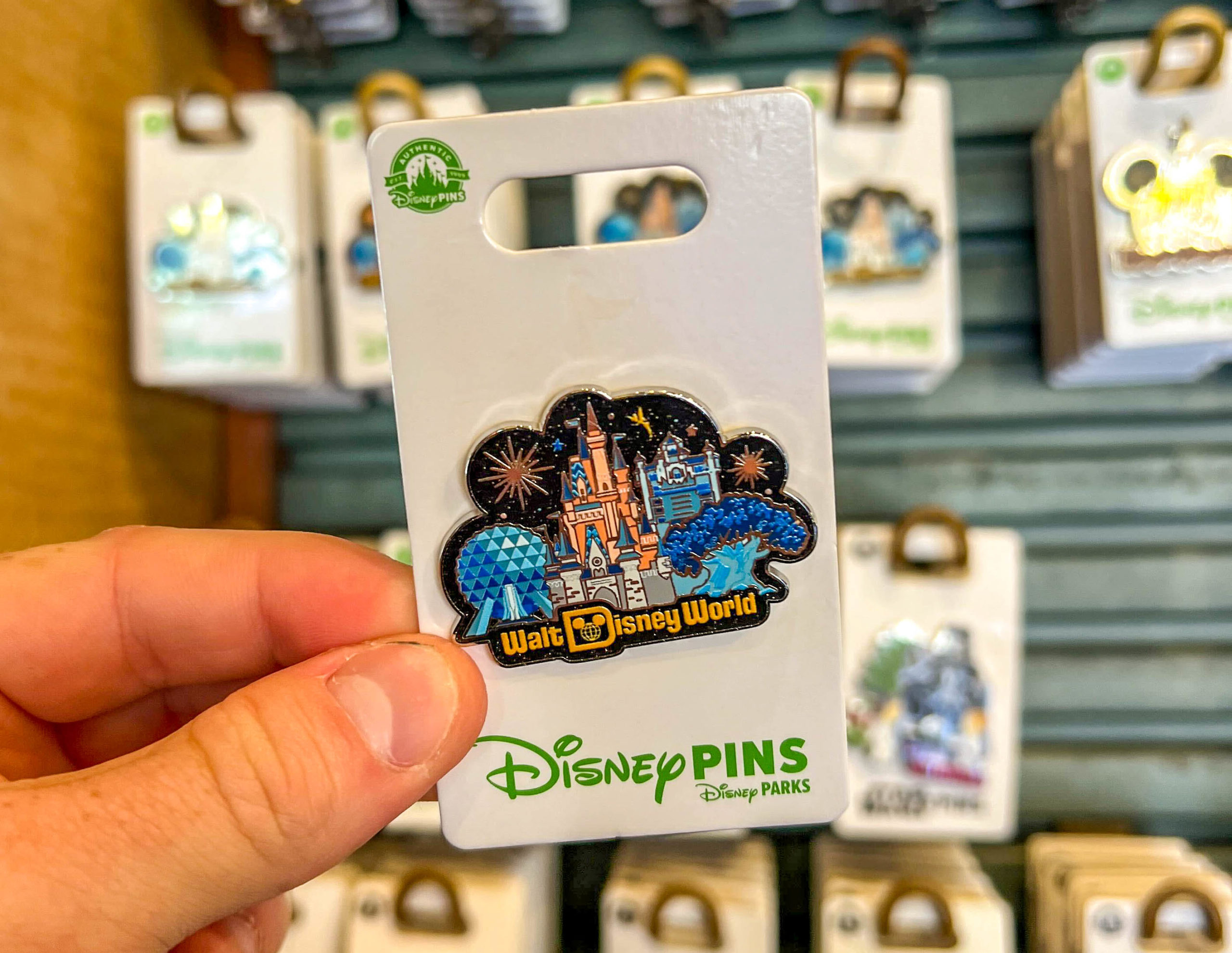 Disney World pin