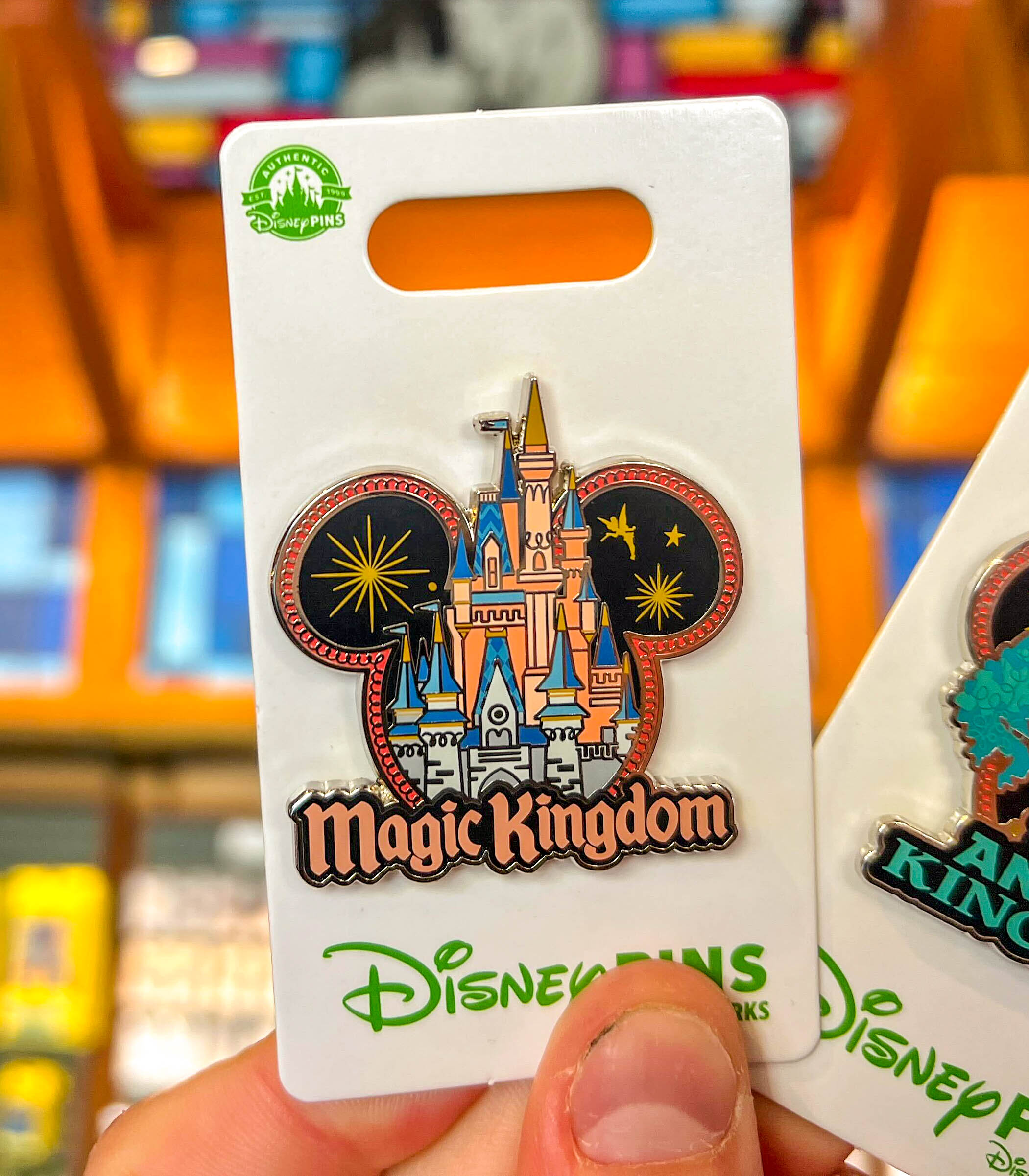 Magic Kingdom pin