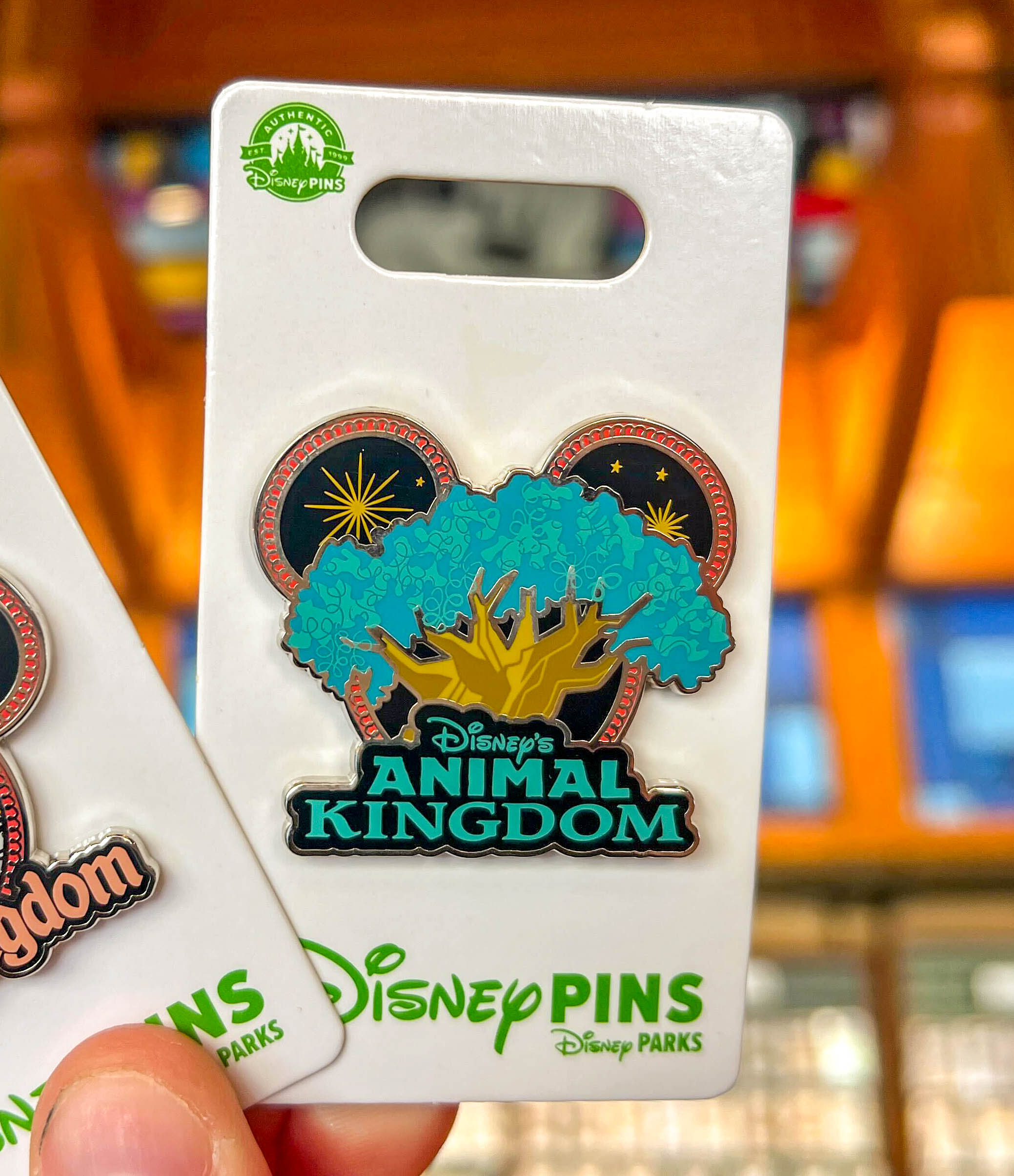 Animal Kingdom pin