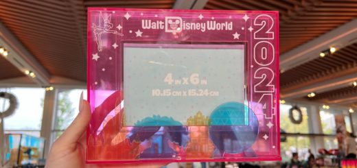2024 Walt Disney World Picture Frame