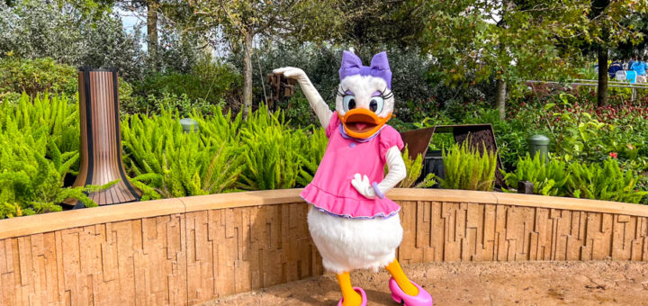 Daisy Pluto Meet and Greet Locations World Celebration Gardens