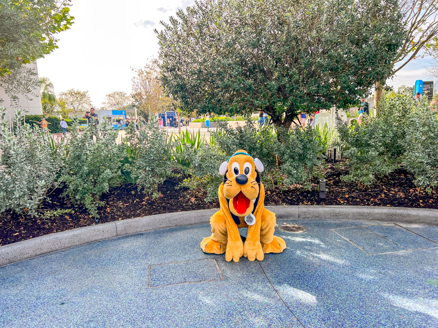Daisy Pluto Meet and Greet Locations World Celebration Gardens