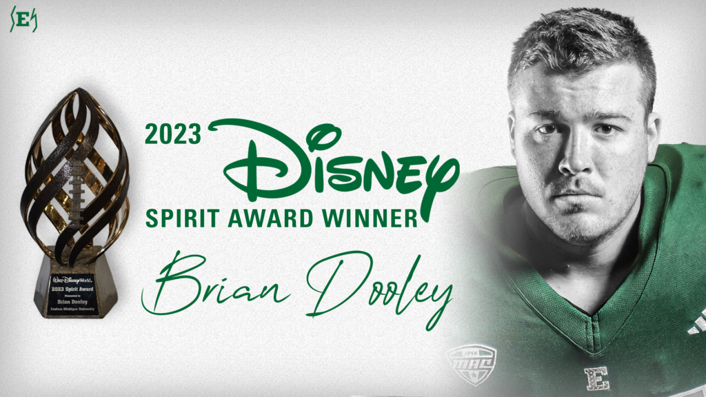 Disney Spirit Award