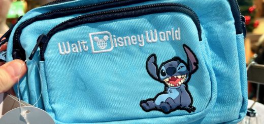 Blue Stitch Belt Bag