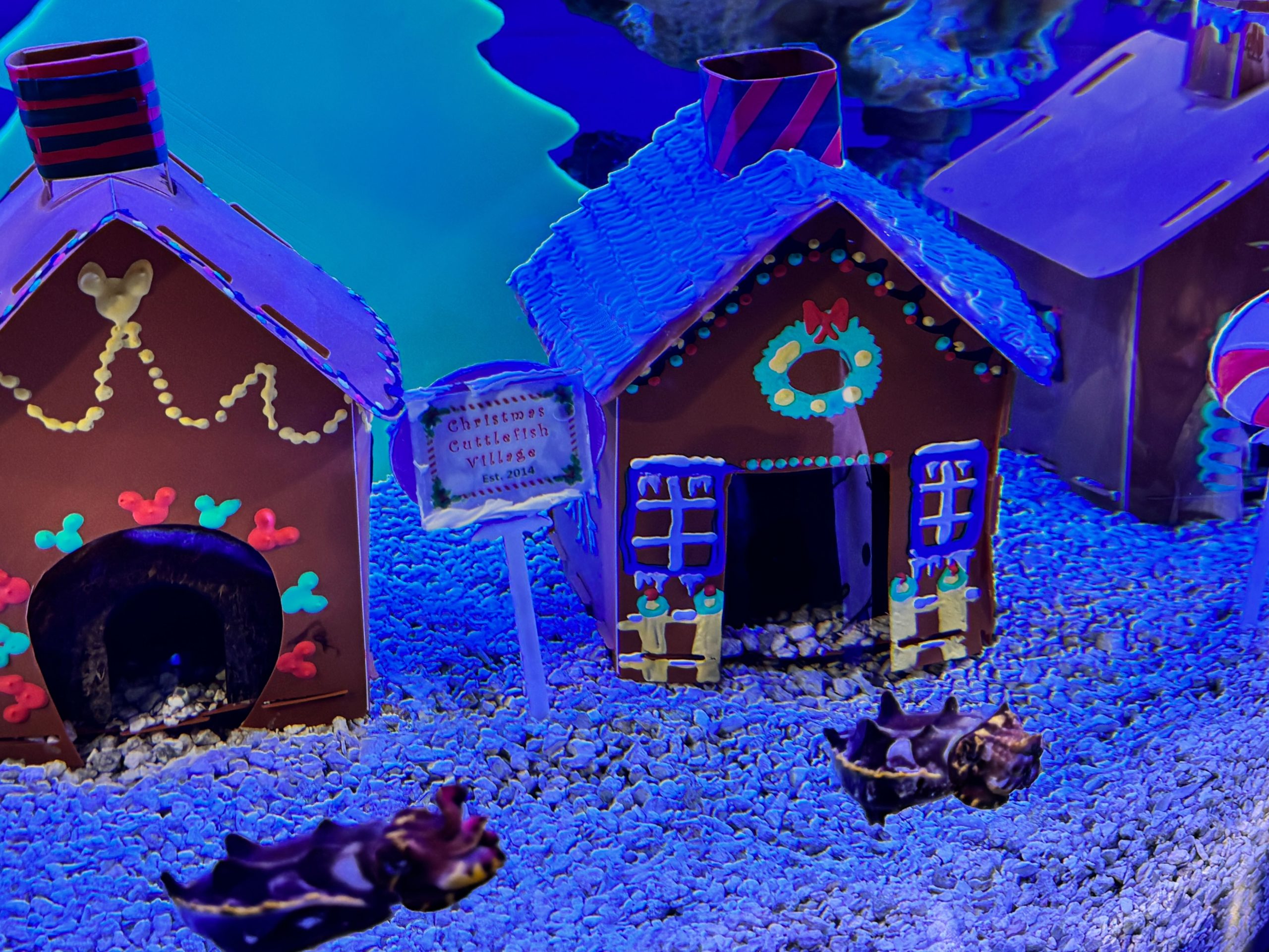 the seas Christmas decorations fish tanks