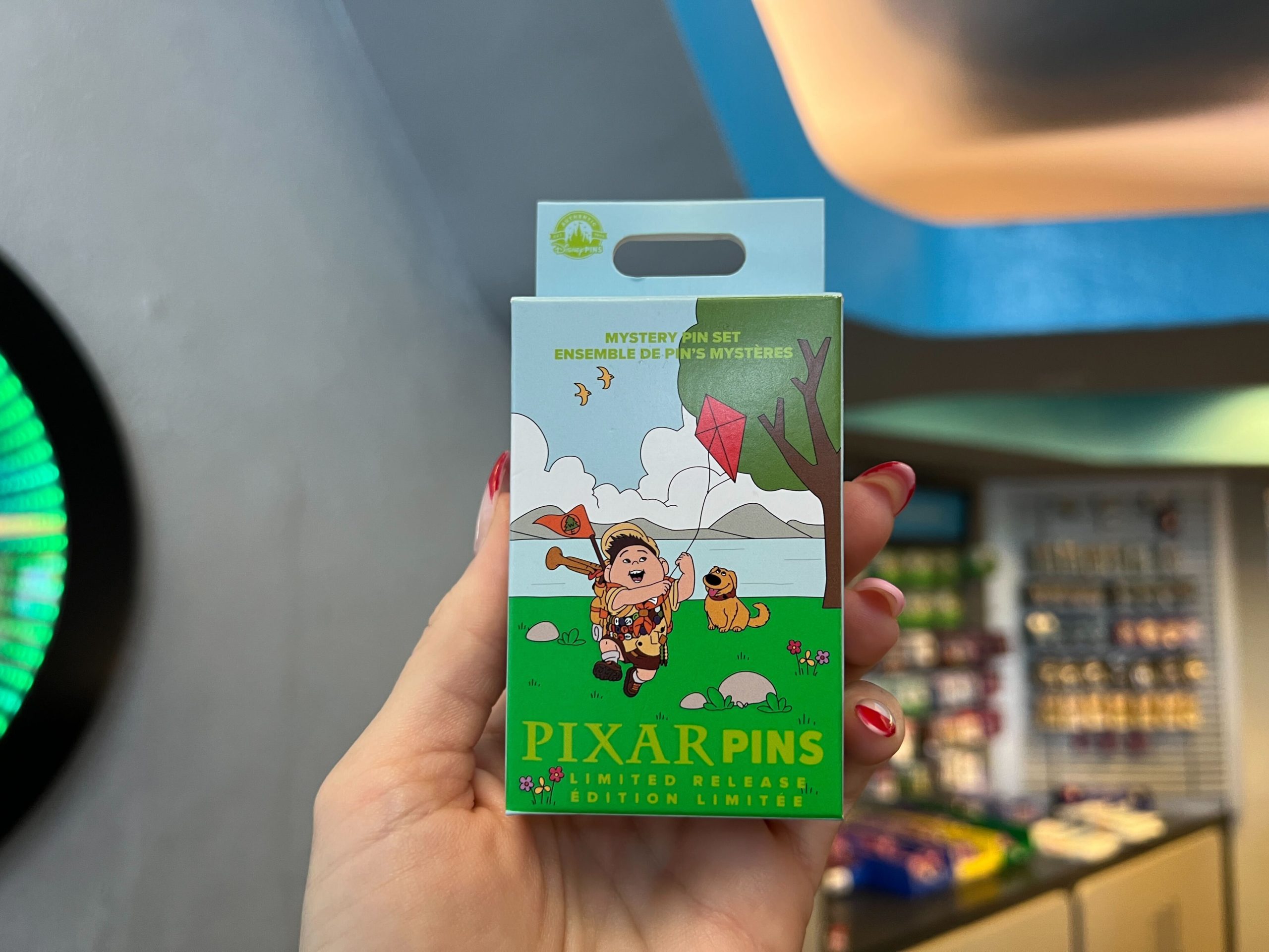 Pixar Picnic Pin Mystery Box