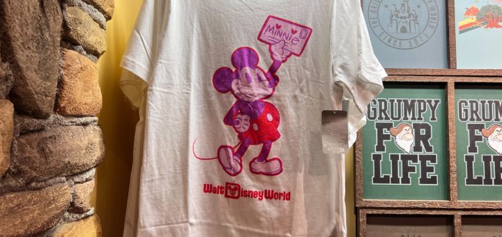 Walt Disney World Valentine's Day Shirt