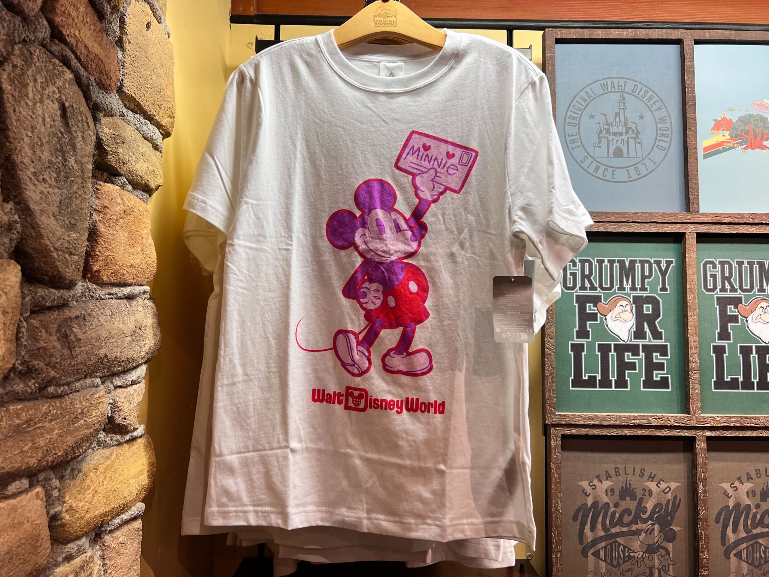 Walt Disney T-shirt, Disney Shirts, Mickey Shirts, Minnie Shirt, Disneyworld  Shirt, Disney Shirt for Women, Walt Disney Shirt, Unisex Shirt 