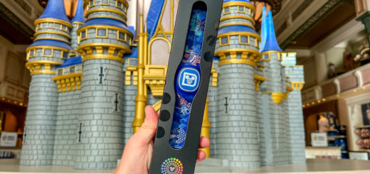 Park Icons MagicBand+