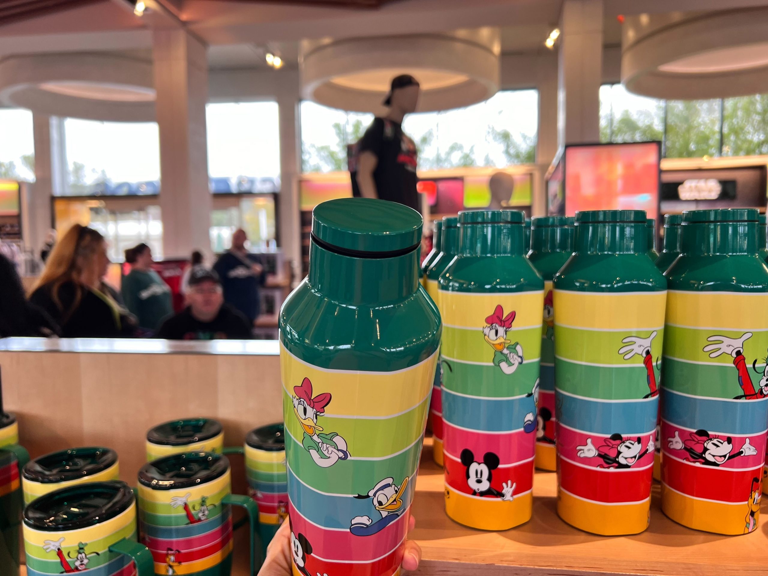 Mickey and Friends Water Bottle 