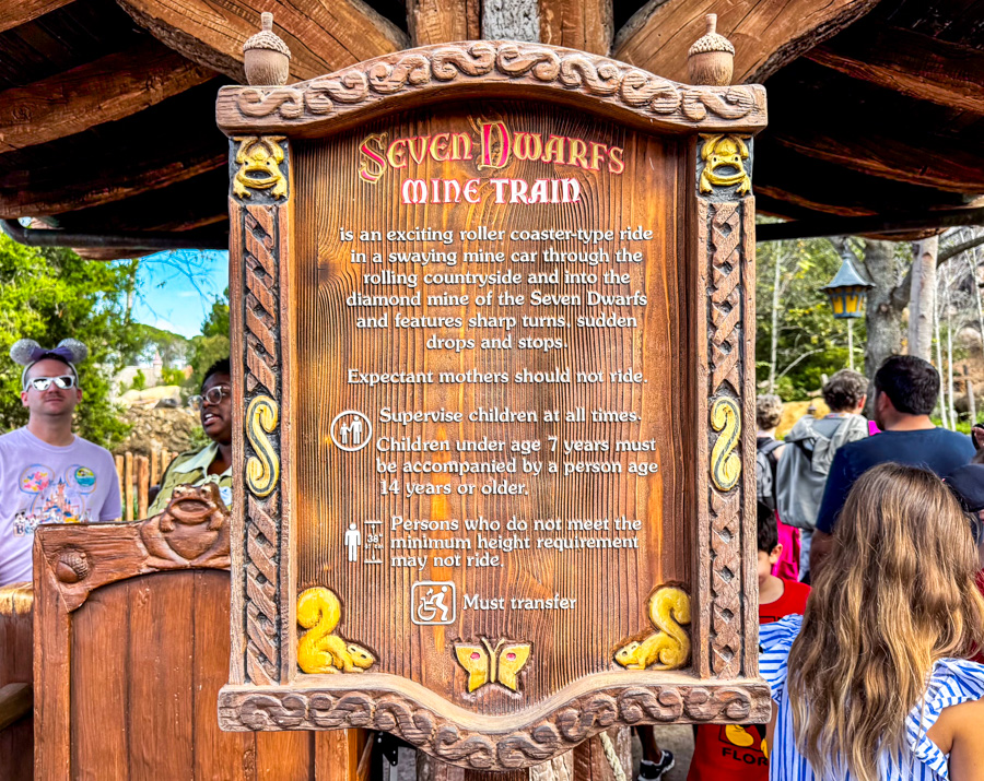 Seven Dwarfs Mine Train Entrance Height Requirement Warning Sign