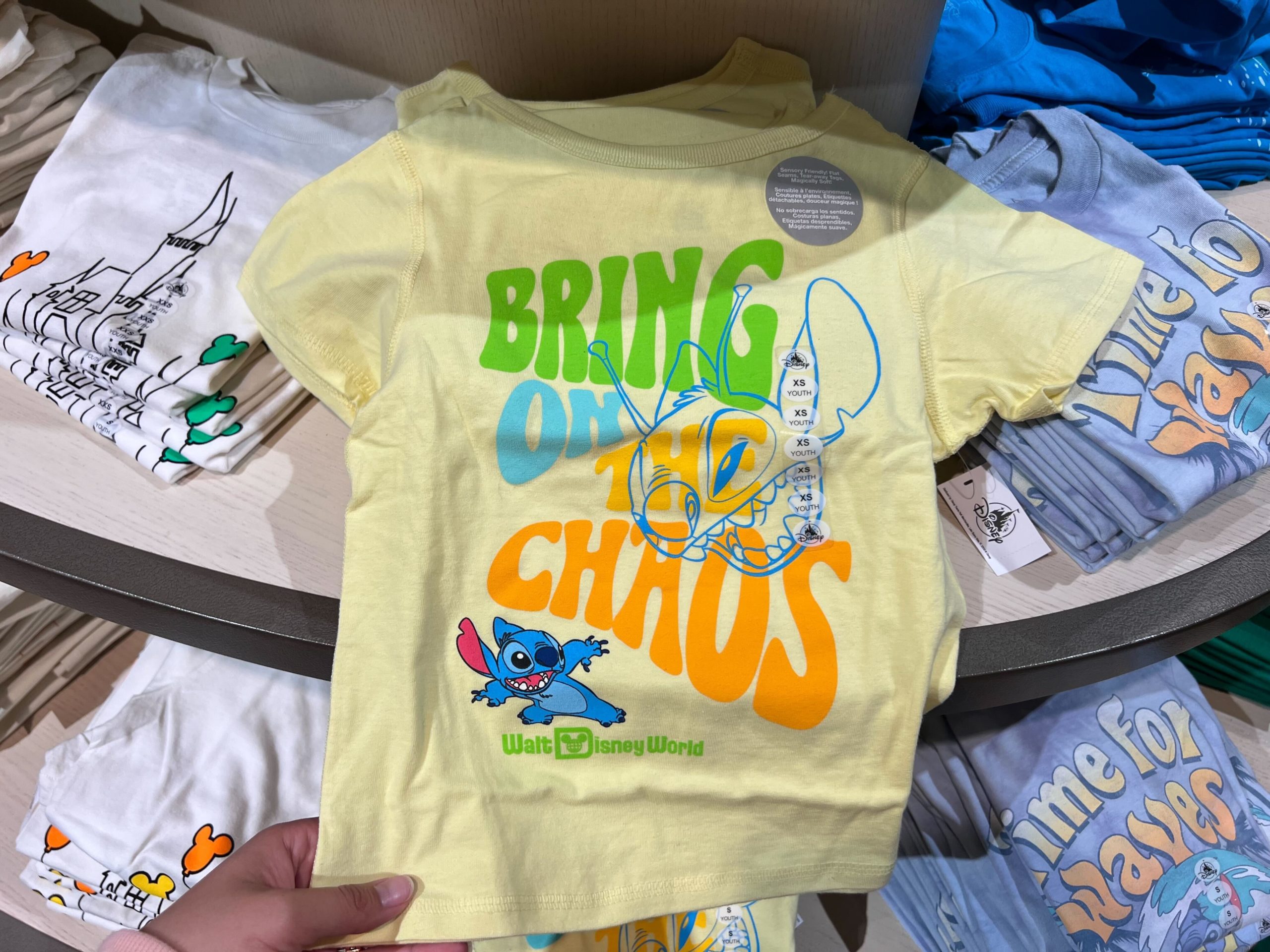 Bring on the Chaos Stitch Youth Tee