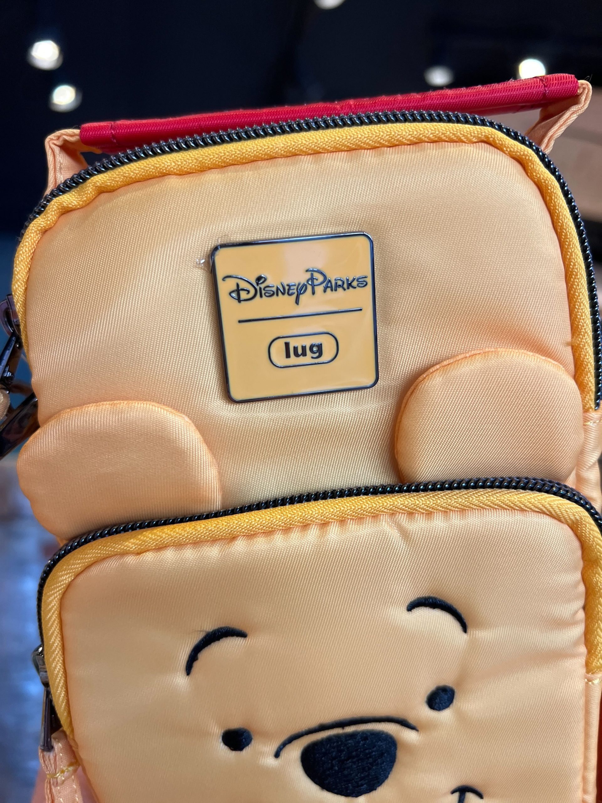 winnie the pooh lug bag