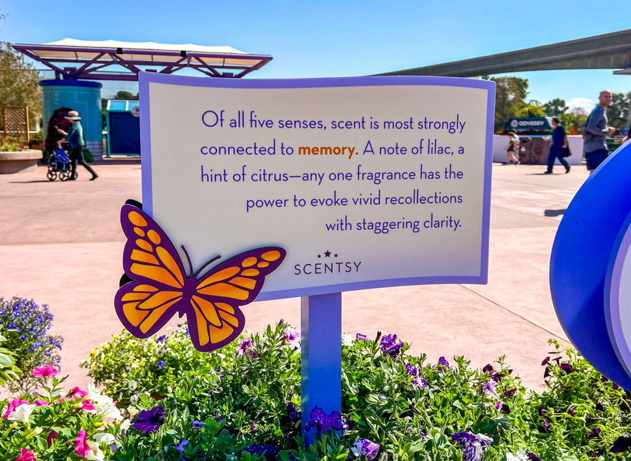2024 EPCOT International Flower and Garden Festival Blossoms of Fragrance Presented by Scentsy Garden Butterfly Display