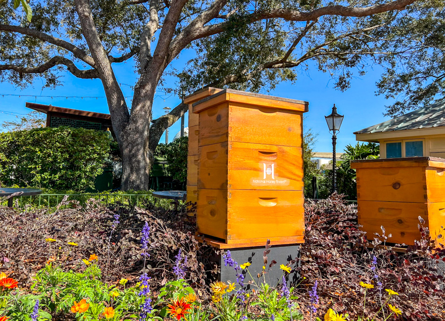 2024 EPCOT International Flower and Garden Festival Outdoor Kitchens Pineapple Promenade Honey Bee Stro