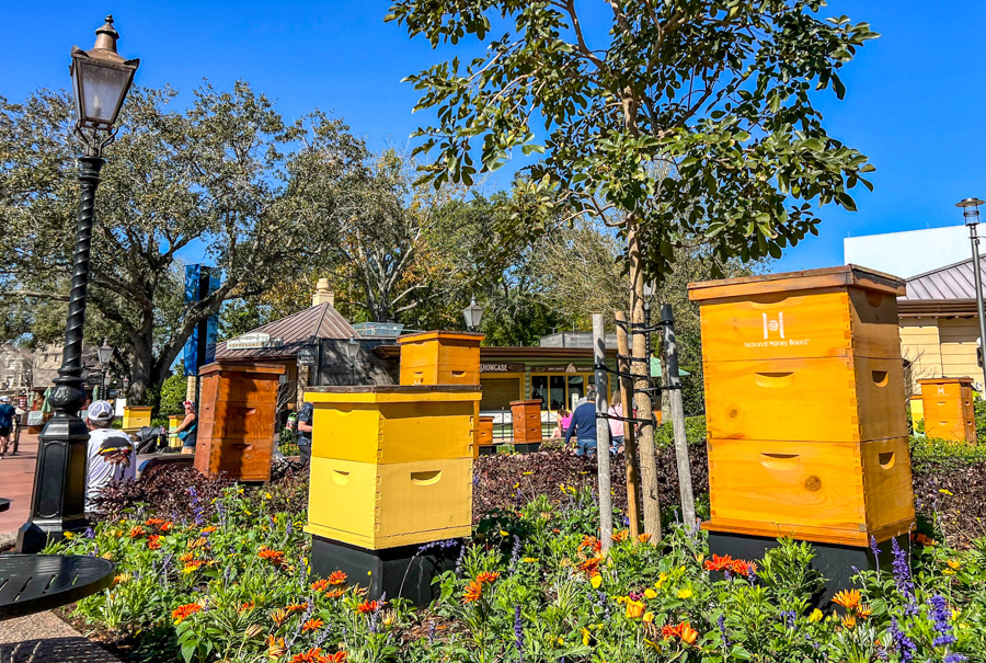 2024 EPCOT International Flower and Garden Festival Outdoor Kitchens Pineapple Promenade Honey Bee Stro