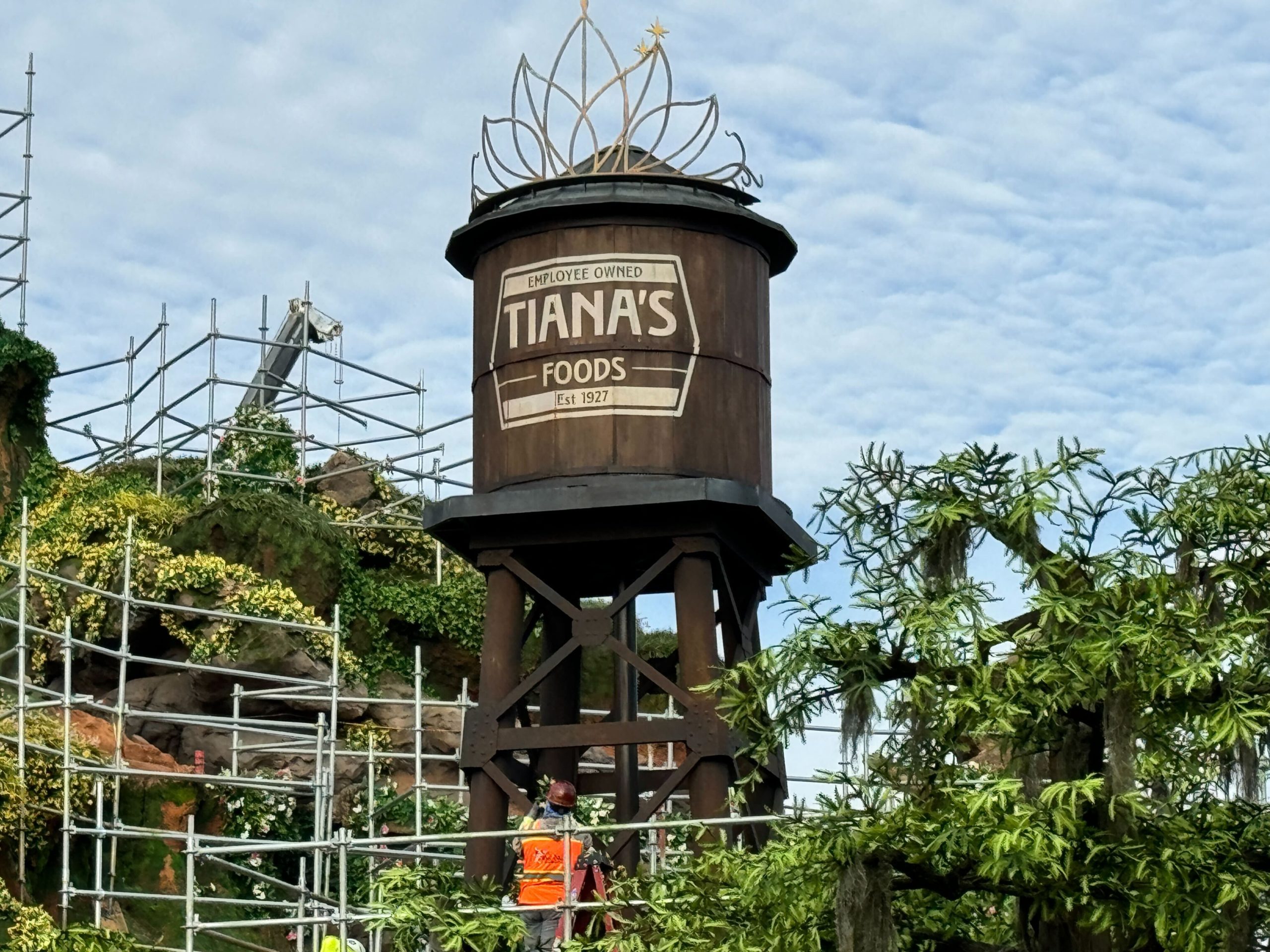Construction Update Tiana's Bayou Adventure