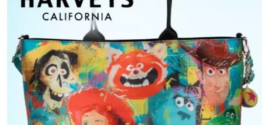 Harveys Pixar Bag