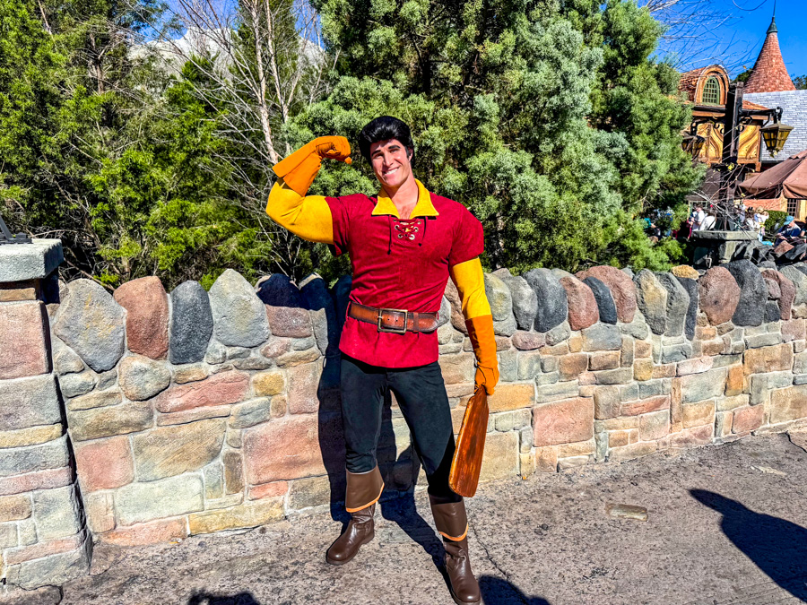 Magic Kingdom Valentine's Day Gaston