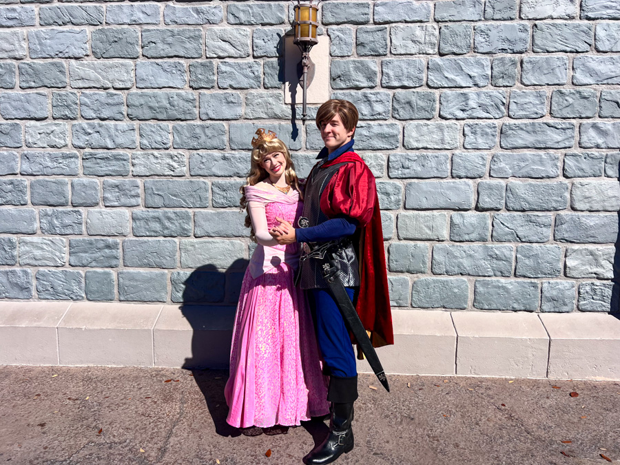 Magic Kingdom Valentine's Day Princess Aurora Phillip Sleeping Beauty