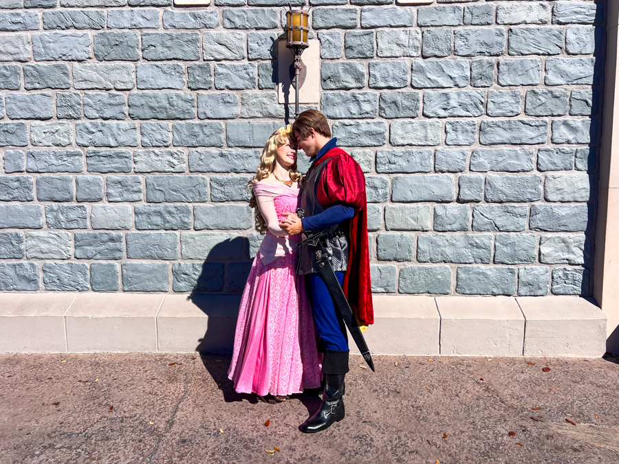 Magic Kingdom Valentine's Day Princess Aurora Phillip Sleeping Beauty