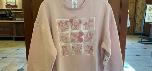 Disney Character Pink Sweatshirt