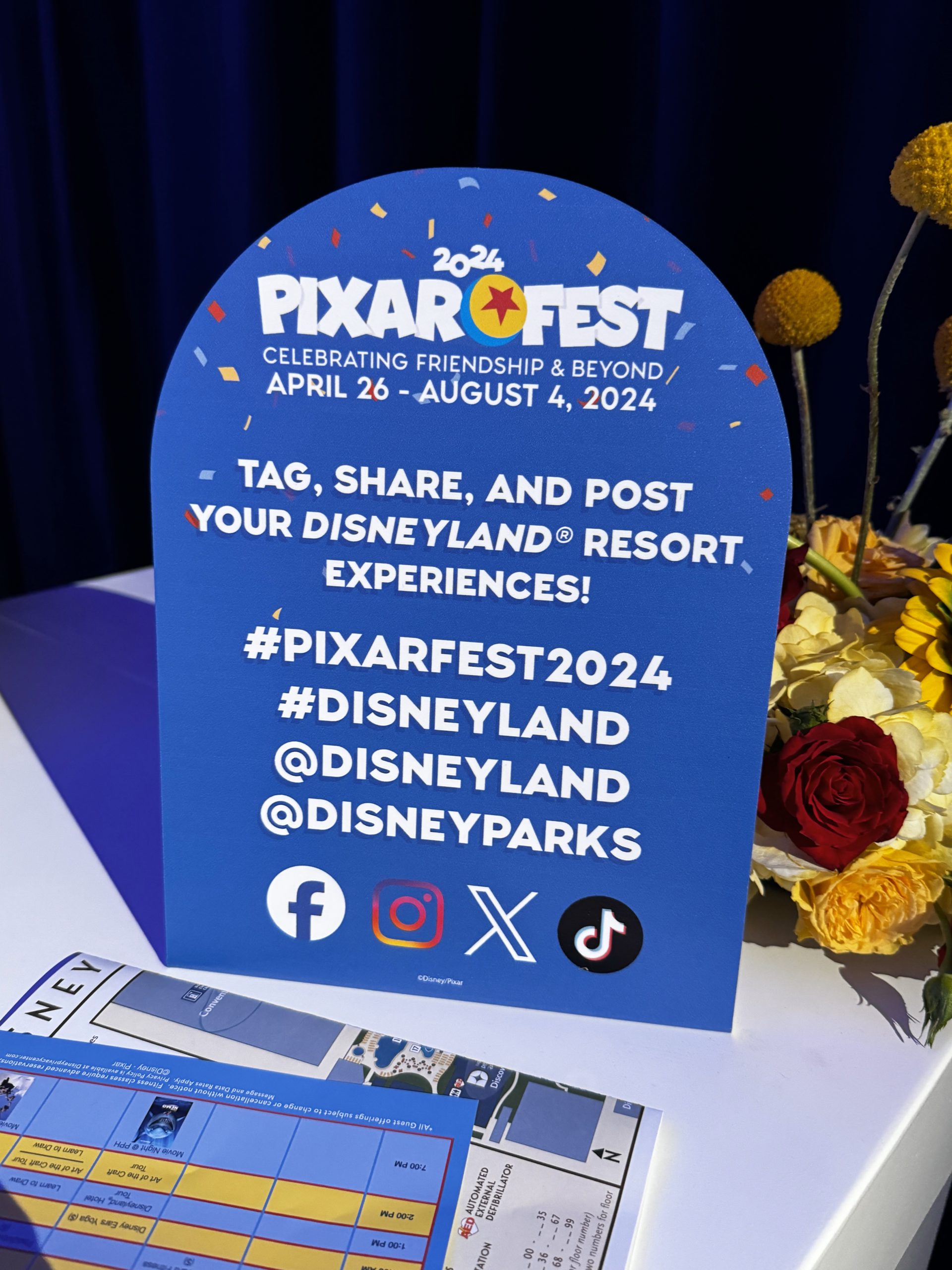 Pixar Fest Merch