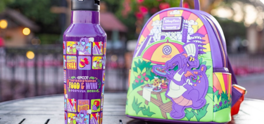2024 Food and wine Festival Figment Merchandise
