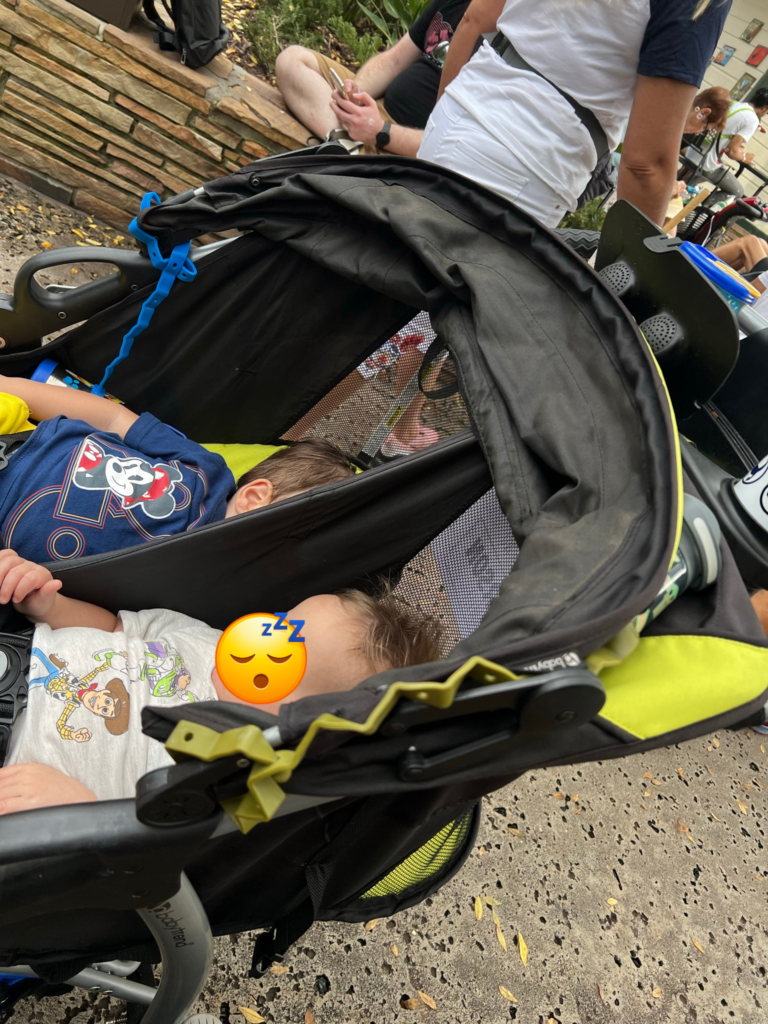 naps at hollywood studios twin double stroller