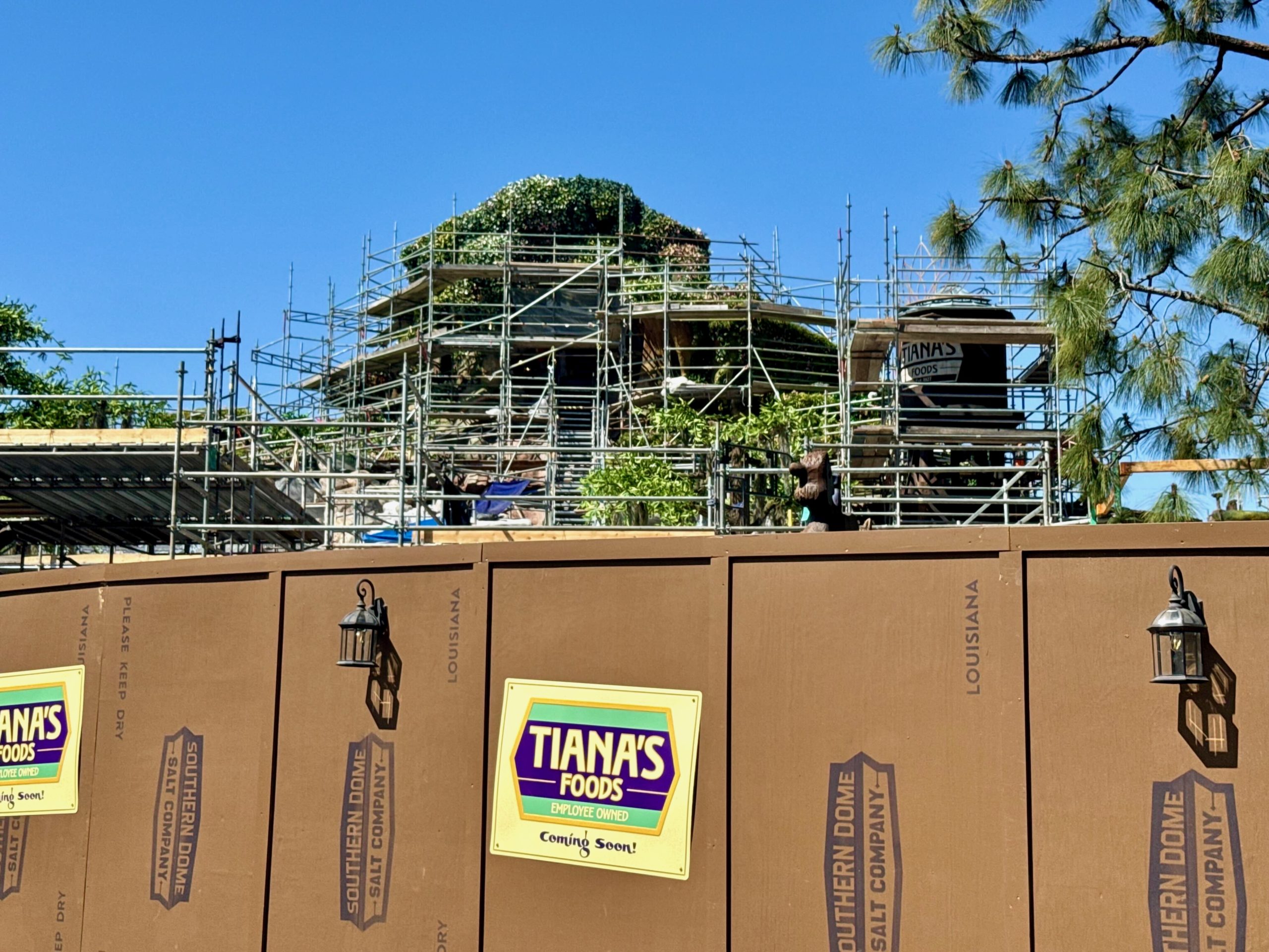 Tiana's Bayou Adventure Construction in Disneyland Project
