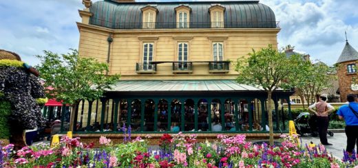 France Pavilion Sustains Damage Amid High Winds in EPCOT