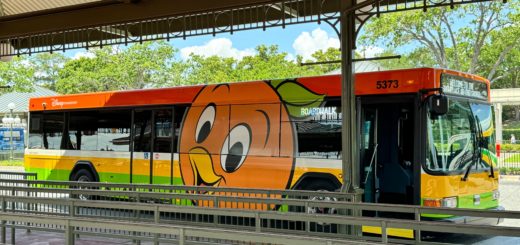 Orange Bird Bus