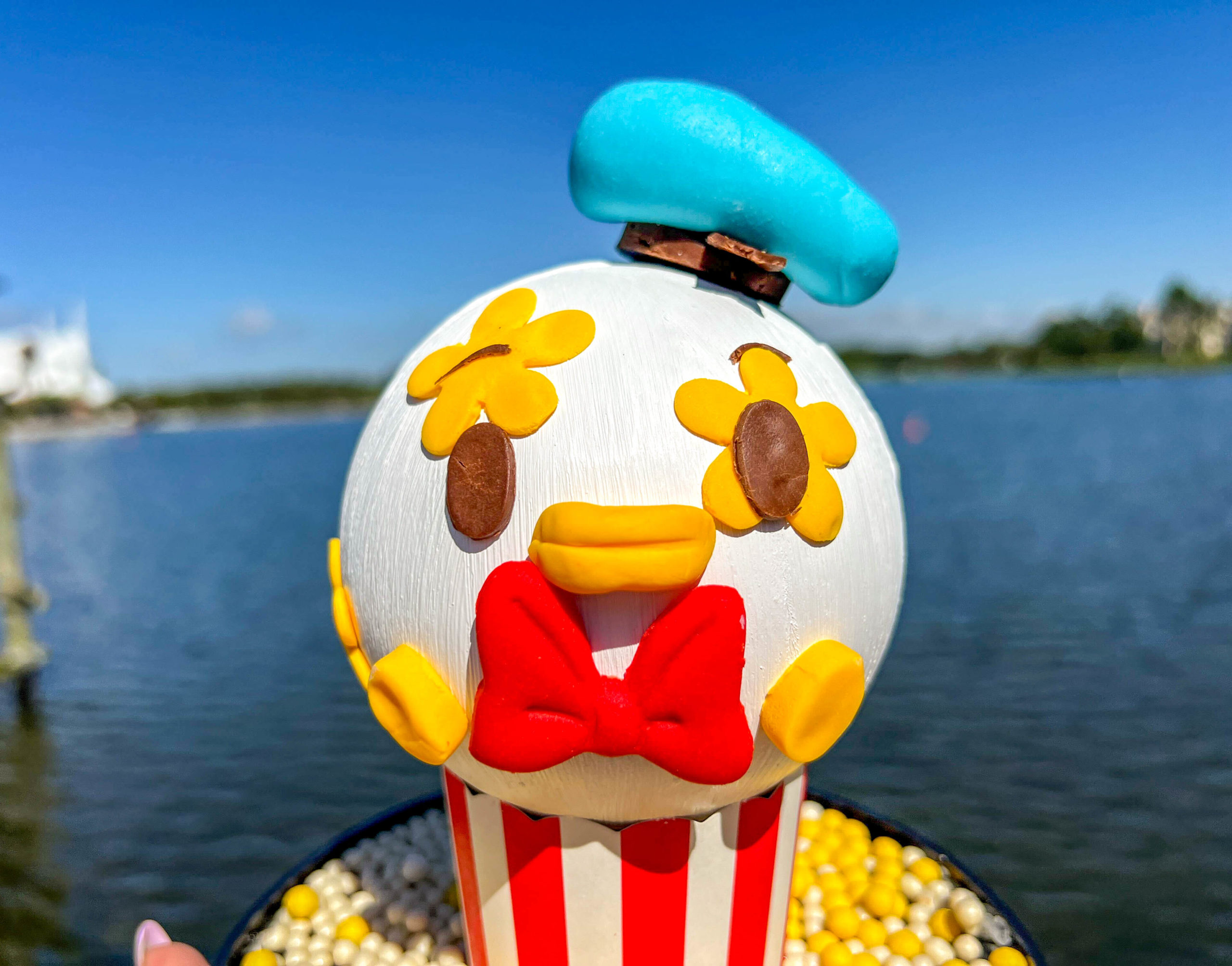 Donald Duck Chocolate Piñata