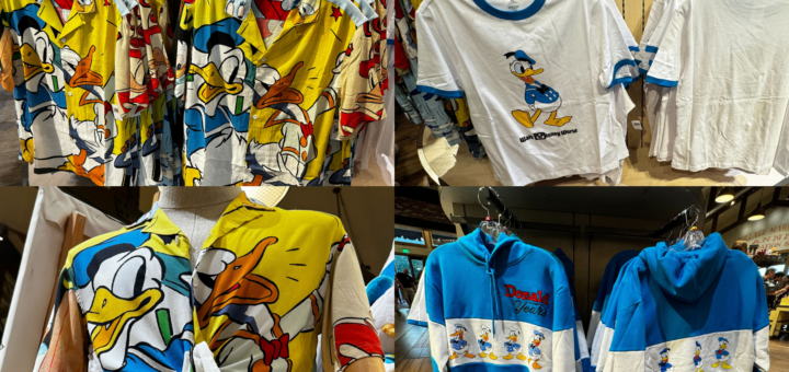 Donald Duck 90th Birthday Items