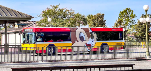New Chip 'n Dale Bus
