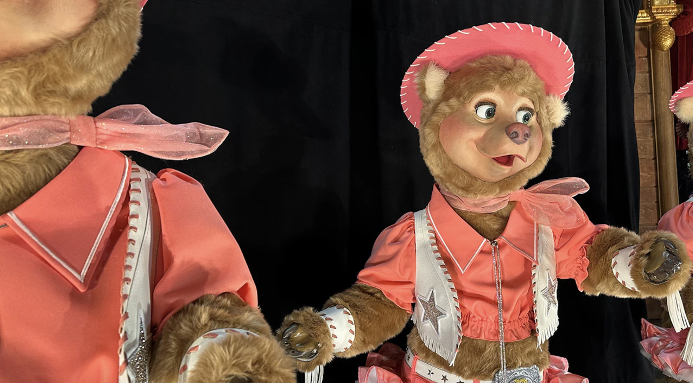 Country Bear Jamboree New Outfits Costumes
