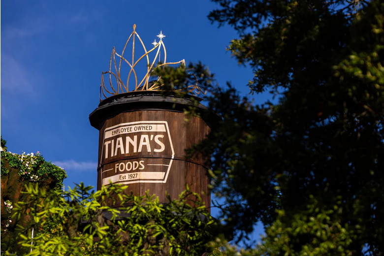 Tiana's Bayou Adventure Water Tower