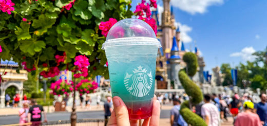 Starbucks Disney Summer Skies Berry Refresher with Lemonade Summer Drinks