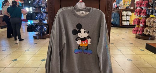 Mickey Pride Sweater