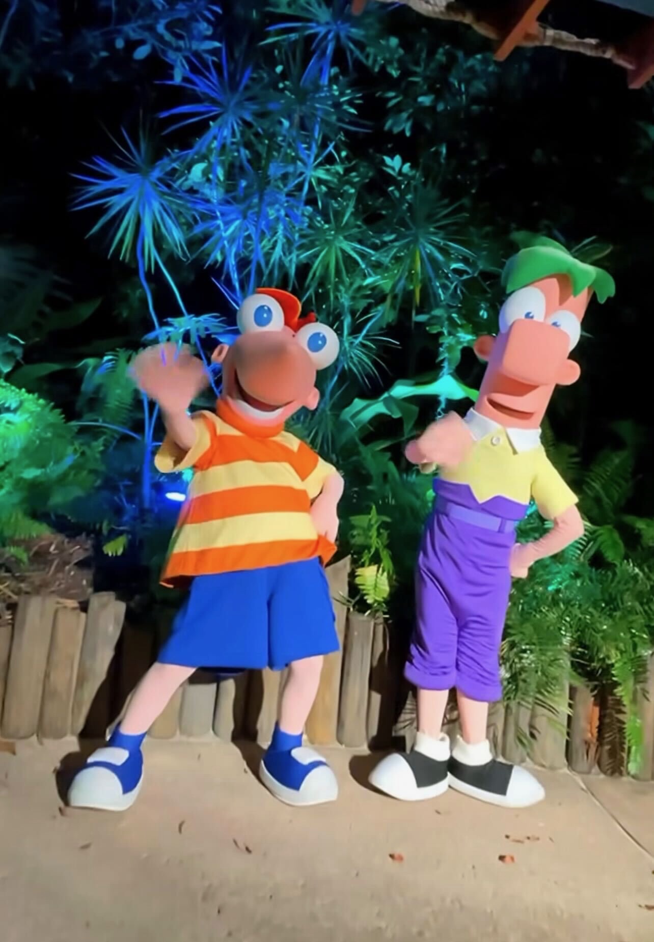 Phineas & Ferb Meet-and-Greet at H20 Glow Nights at Disney's