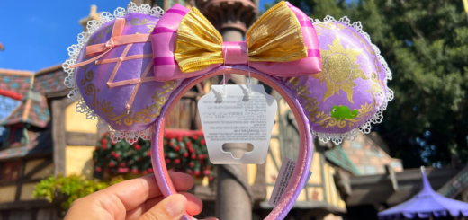 Rapunzel Minnie Ears