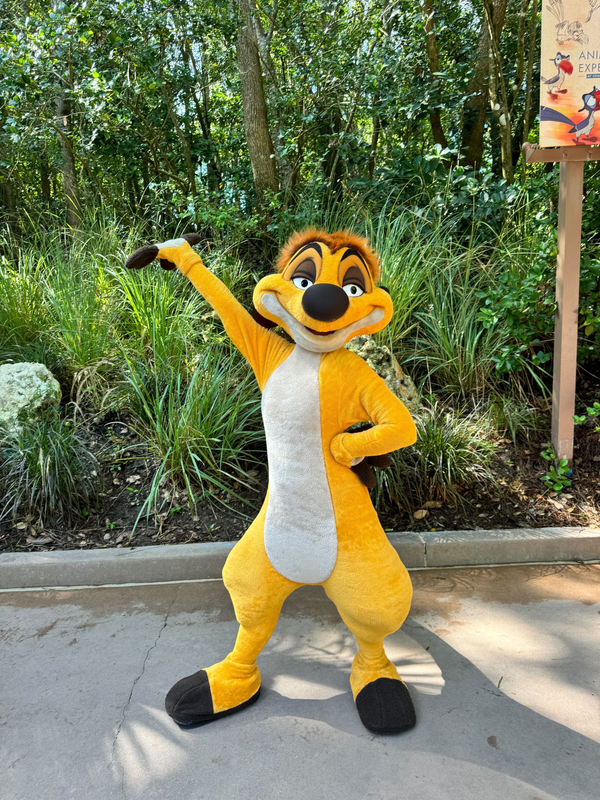 3 Ways to Celebrate 30 Years of 'The Lion King' at Disney's Animal ...