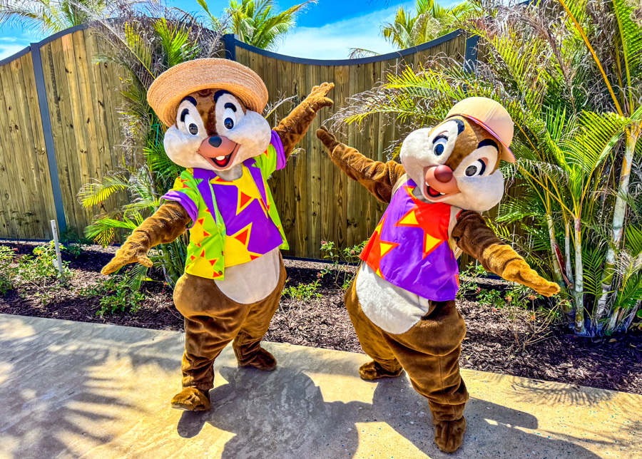 Lookout Cay Lighthouse Point Characters Meet and Greet Chip n Dale