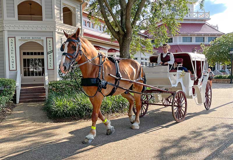 Carriage Rides at Disney's Port Orleans Riverside