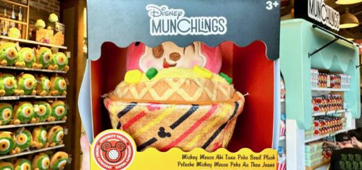 Disney Munchlings Signed by Chef Christine Weissman in Disney Springs