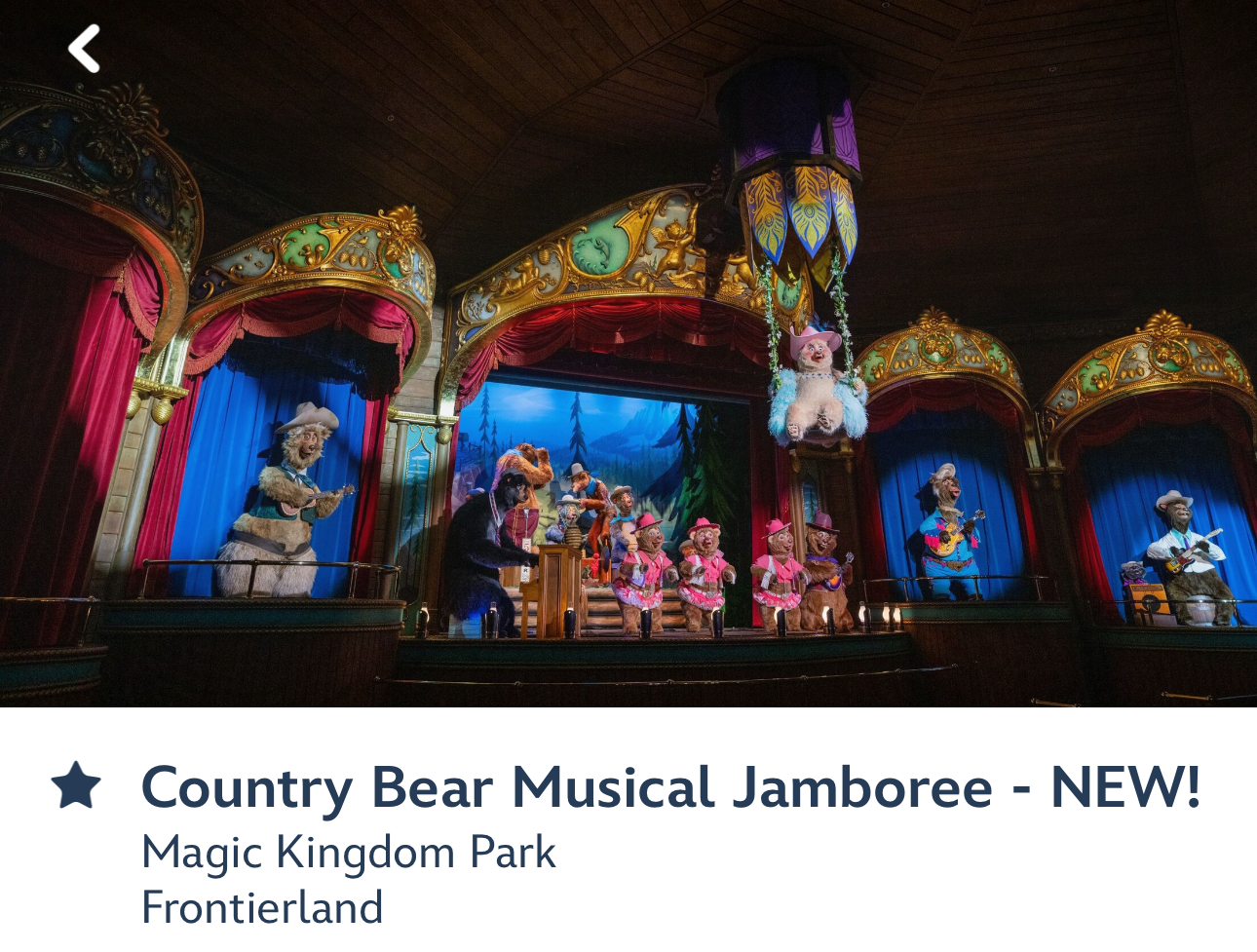 Country Bear Musical Jamboree