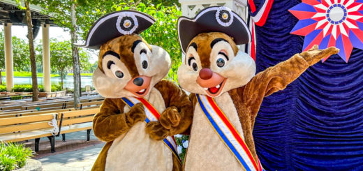 Chip n Dale Spirit of 76 Fourth of July Costumes Outfits EPCOT