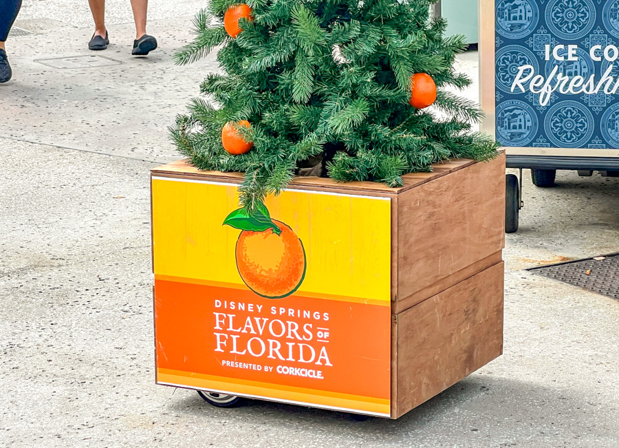 Douglas Fir Orange Tree Flavors of Florida Disney Springs Character