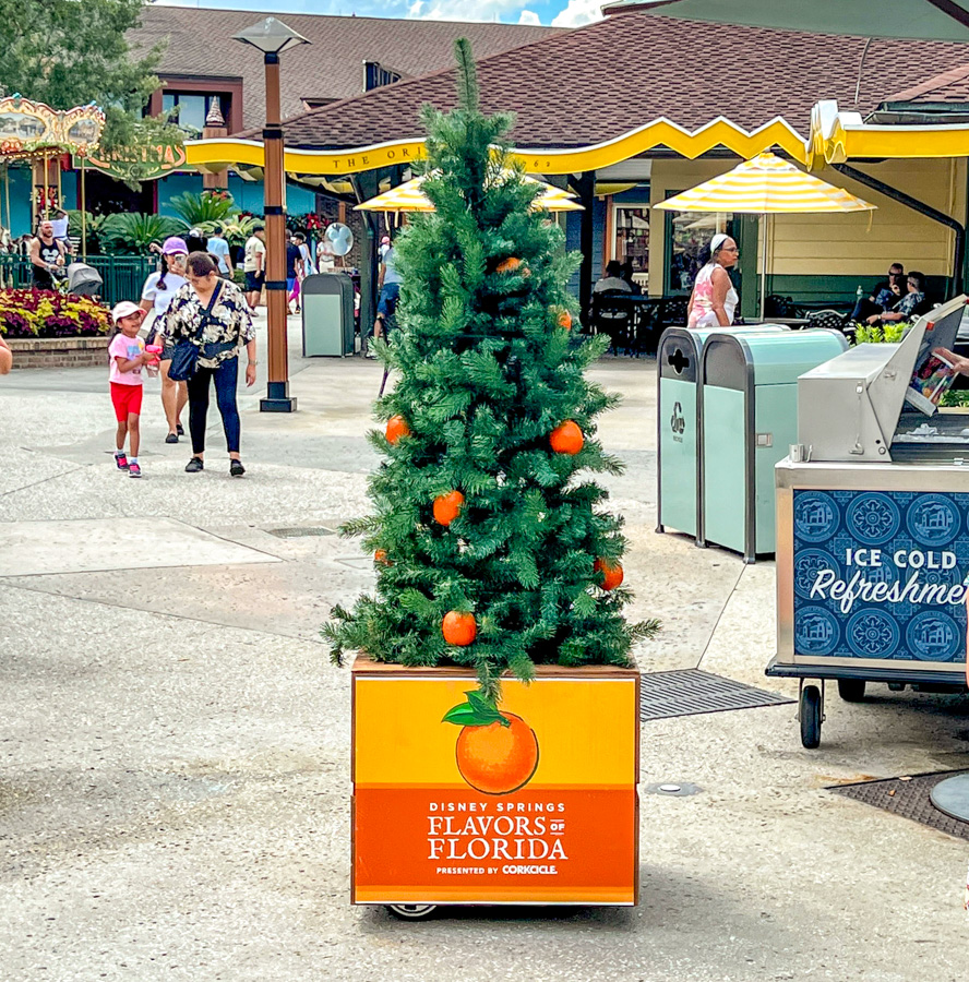 Douglas Fir Orange Tree Flavors of Florida Disney Springs Character