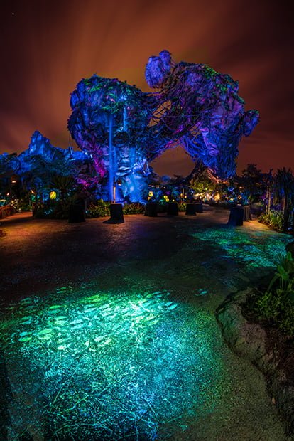 Pandora at Night with the Bioluminescence 
